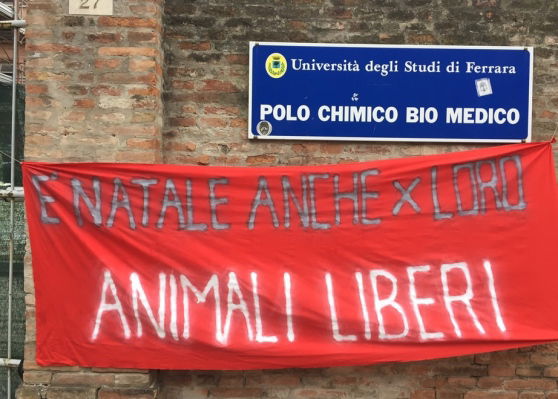 ippopotamo circo animalisti
