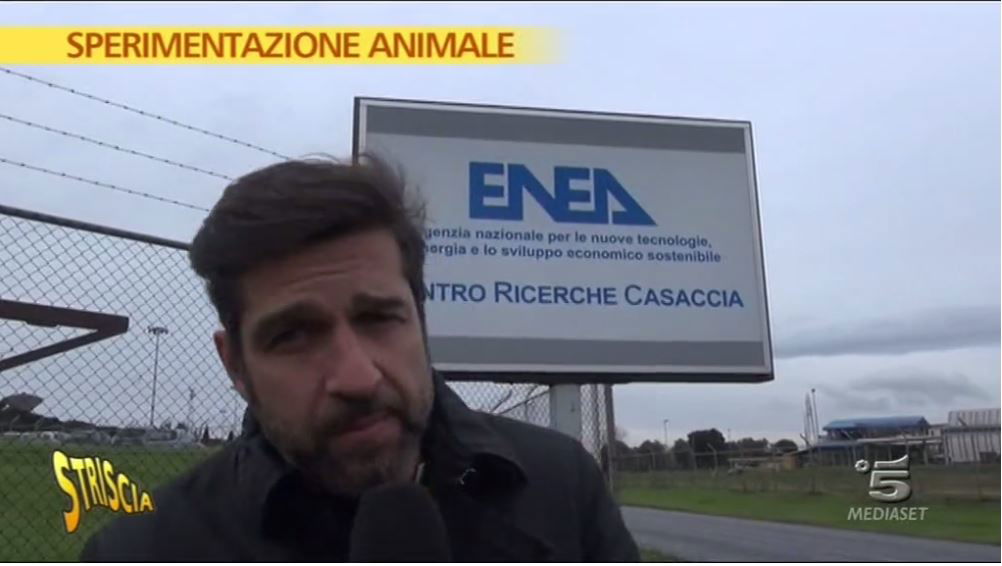Edoardo Stoppa, Striscia la Notizia e le immagini rubate dal filmato di Pro Test Italia article-post