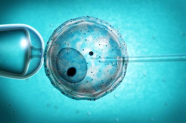 Tre genitori genetici per un embrione: come l'hanno presa i cattolici article-post