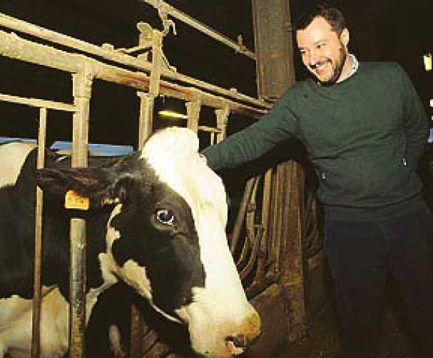 Arterìa di Bologna: le bufale di Salvini sulla discoteca che nega l'ingresso ai neri article-post