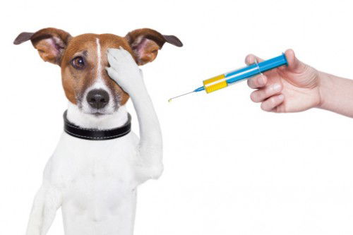 Vaccini: denunciare i genitori che si oppongono? article-post