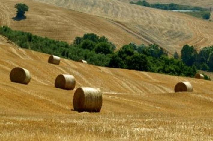 Imu agricola: come funziona la nuova versione della tassa e chi la deve pagare article-post