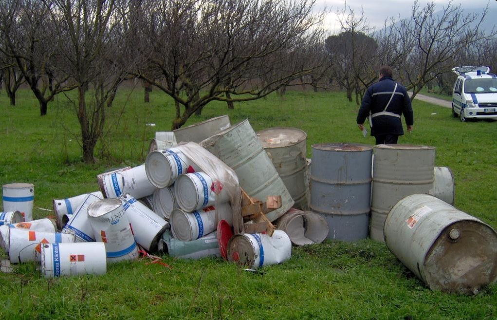 La verità sulla legge contro gli Ecoreati article-post
