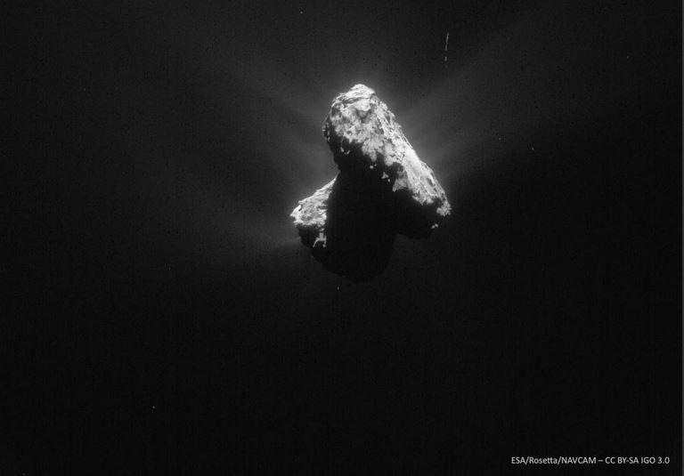 La storia delle «tracce di vita» sulla Cometa CP67 article-post