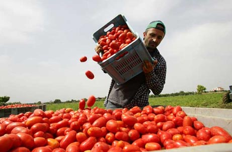 Il reddito degli stranieri in Italia article-post