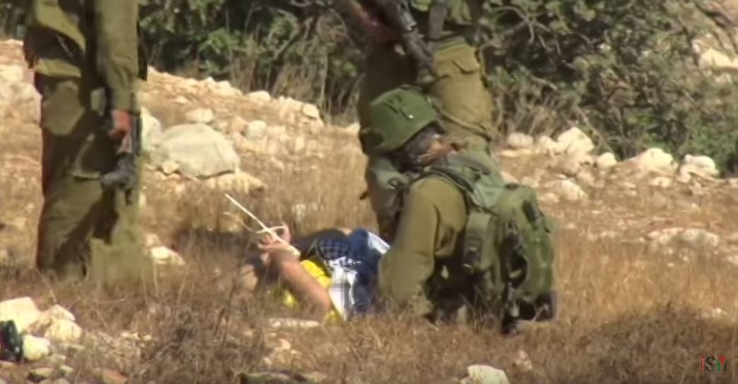 Vittorio Fera: l'attivista italiano arrestato da Israele article-post