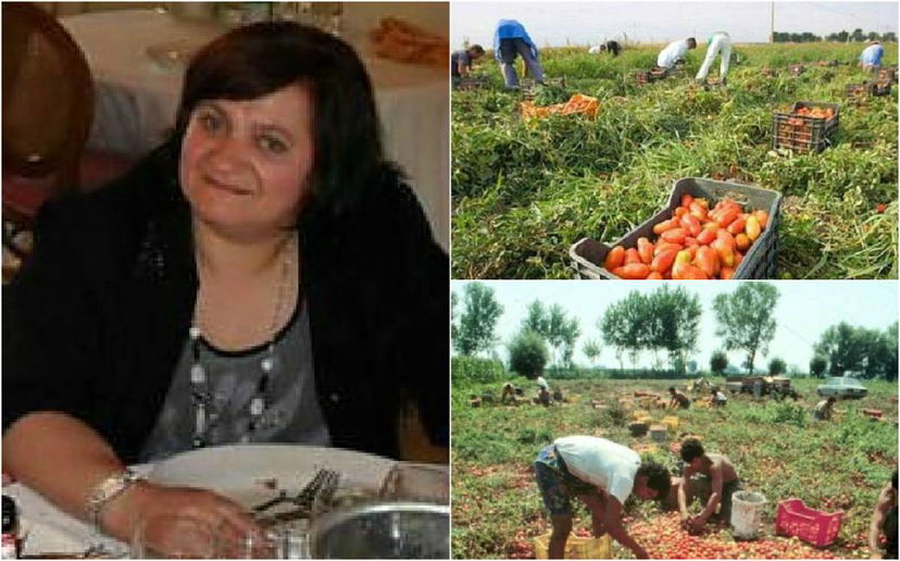 Paola Clemente: la busta paga della bracciante morta per 27 euro al giorno article-post
