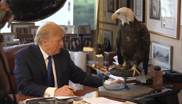 Donald Trump è il nuovo presidente degli Stati Uniti article-post