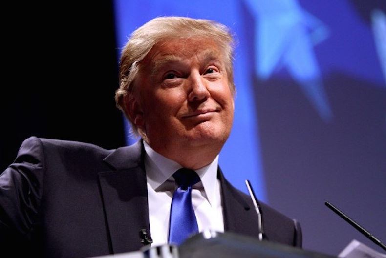 L'aquila che voleva mangiare Donald Trump article-post