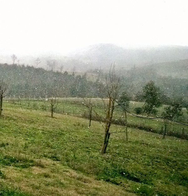 neve roma 1