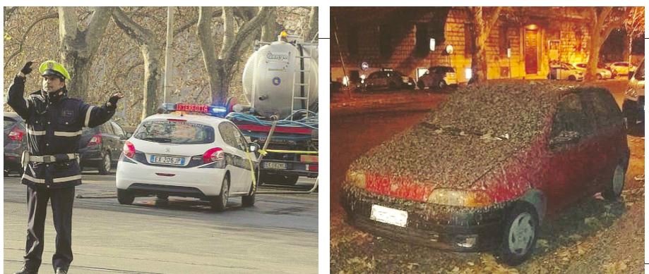 La figura di guano che sta facendo Roma article-post