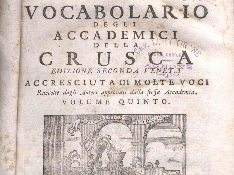 L’ingegnere che fa causa all’Accademia della Crusca per la parola “terrone” article-post