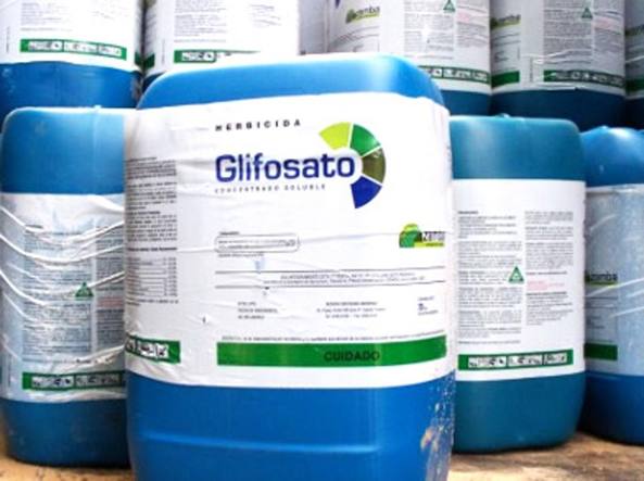 glifosato-oms fao non cancerogeno