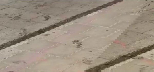 Paul H.: chi è l'attentatore della stazione di Grafing article-post