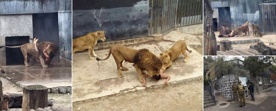 zoo suicida leoni nudo santiago cile -