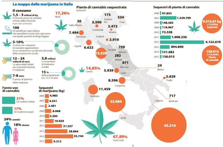 La mappa della marijuana in Italia NextQuotidiano La mappa della marijuana in Italia NextQuotidiano