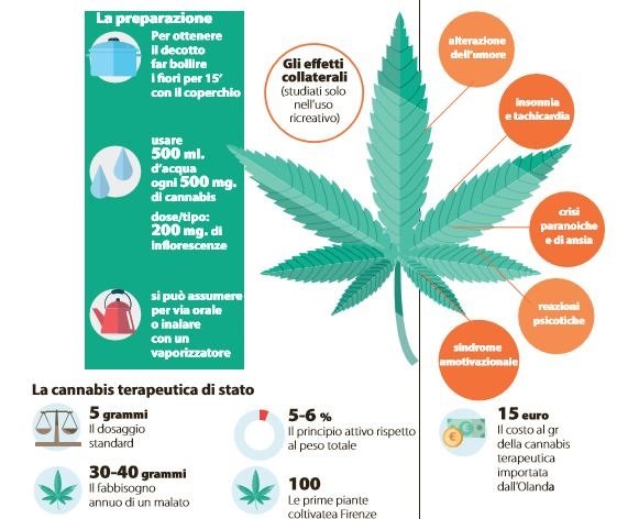 cannabis stato ricette