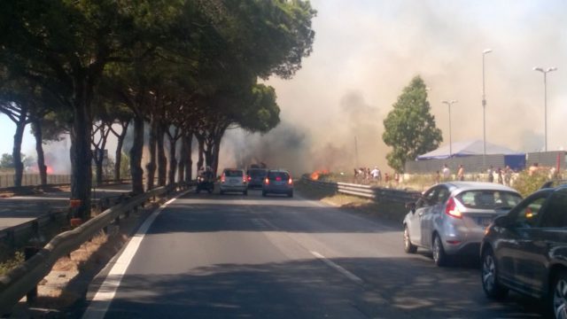 Chi ha appiccato incendi sulla Pontina? article-post