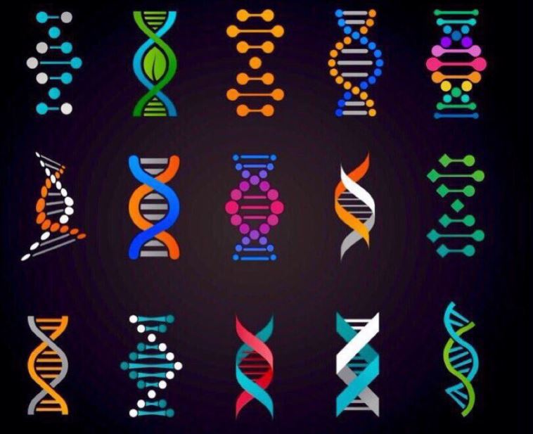 Il DNA dei sardi venduto per appena 300mila euro? article-post