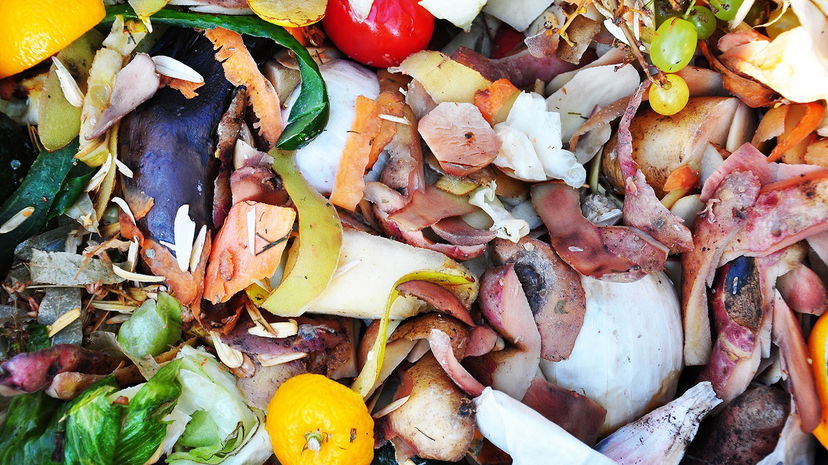 La legge sullo spreco alimentare article-post