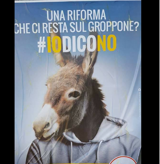 Chi vota No al referendum è un asino? article-post