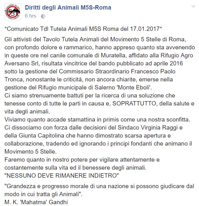 Gli attivisti M5S contro la Giunta Raggi per il canile della Muratella article-post