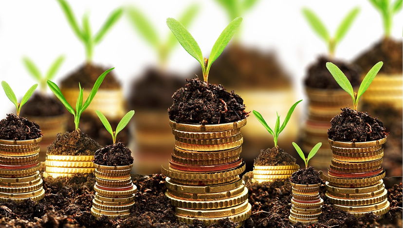 Il crollo degli investimenti pubblici article-post