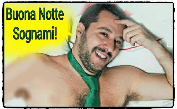 Matteo Salvini è il più grande assenteista del Comune di Milano (ma allo stadio ci va) article-post