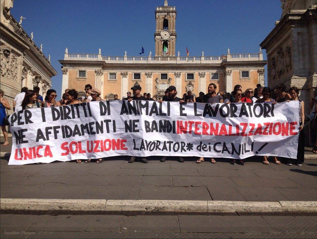M5S, il disastro annunciato al canile della Muratella article-post