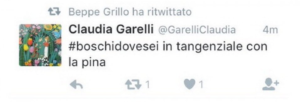 grillini boldrini raggi libero feltri