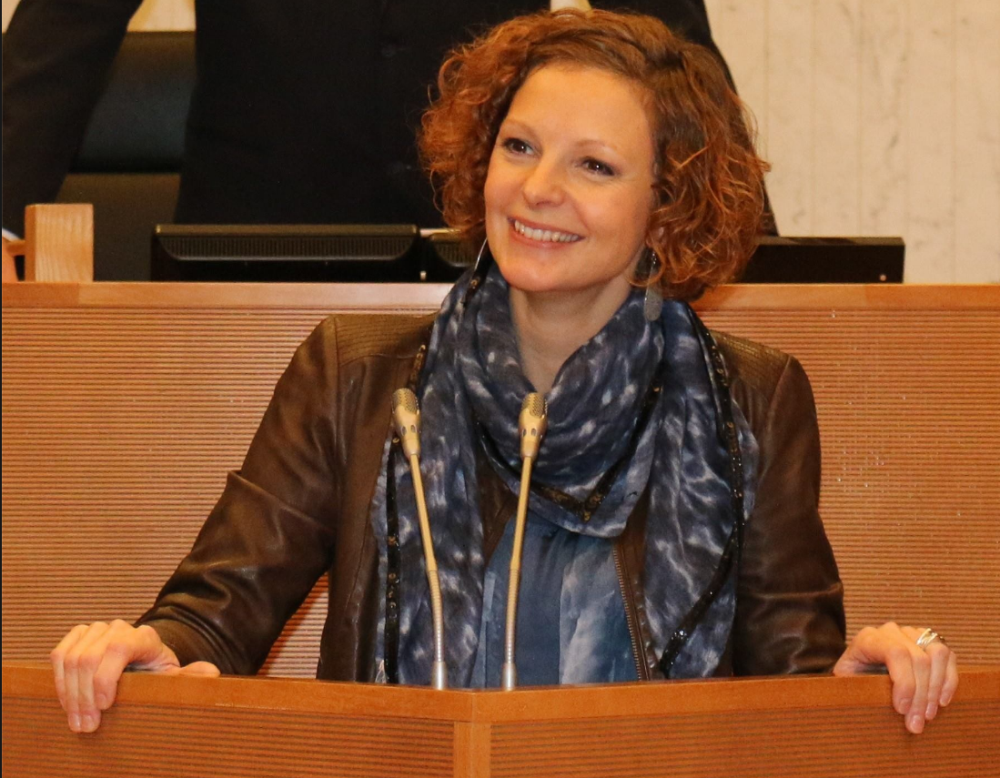 Marie-Martine Schyns guida stato ebrezza - 1