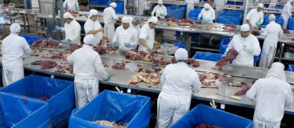 La storia della carne brasiliana avariata article-post