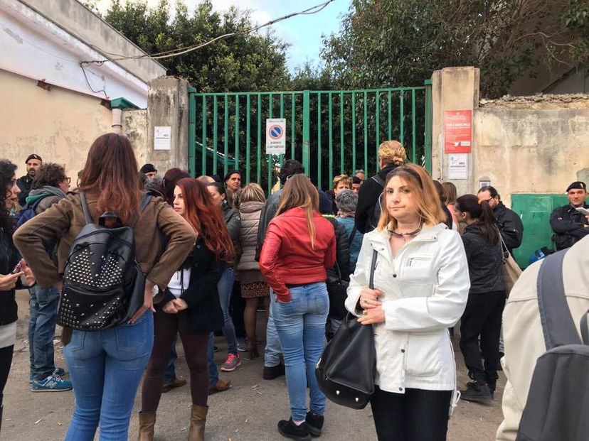 Cosa succede al canile di Palermo article-post