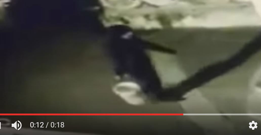 Marcello Cimino: il video del clochard bruciato vivo in via Cipressi a Palermo article-post
