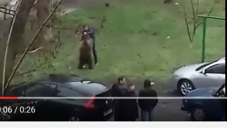 Il tizio che va in giro con un orso al guinzaglio a Taganrog article-post