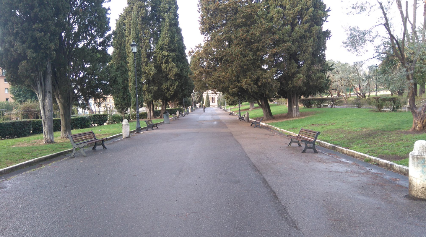 volontari roma #ovviamentegratis - 4