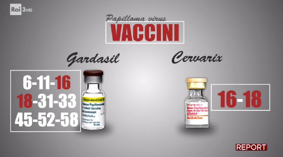 report papilloma virus vaccini hpv gardasil cervarix - 1