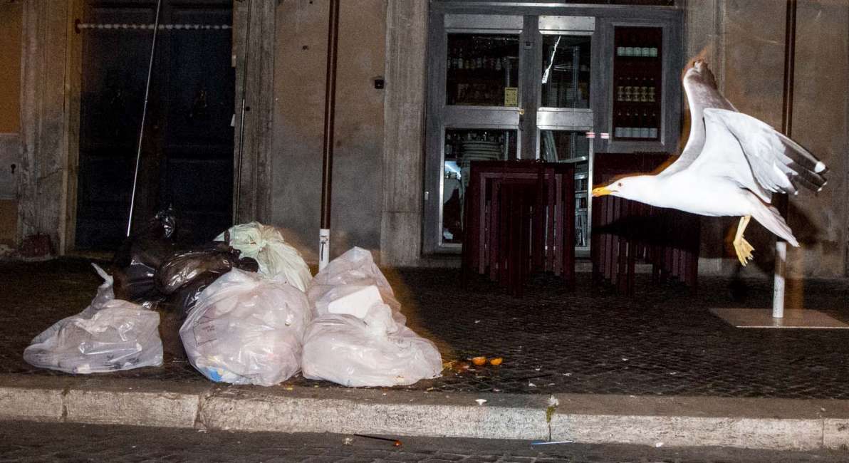 Virginia Raggi e l'emergenza rifiuti a Roma article-post