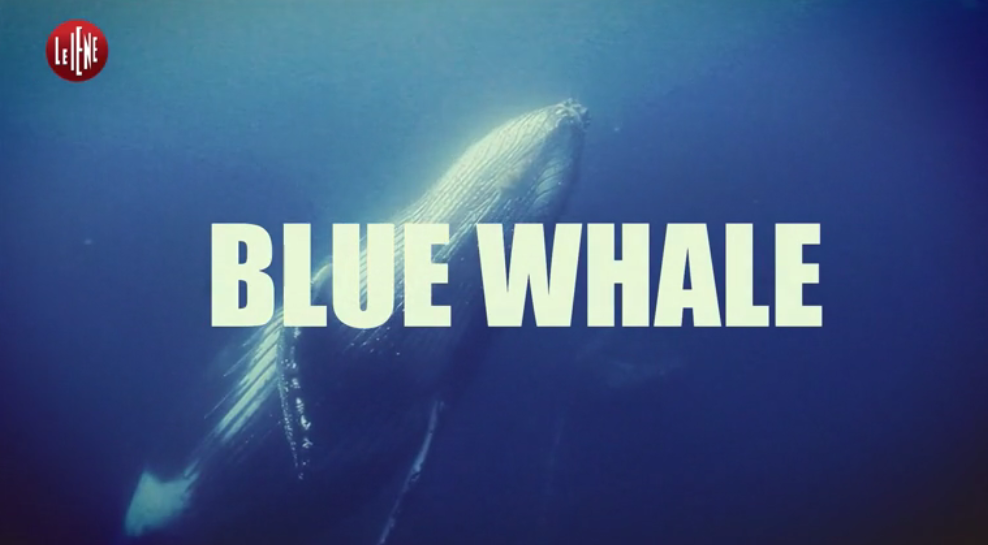 blue whale iene suicidio gioco russia - 4