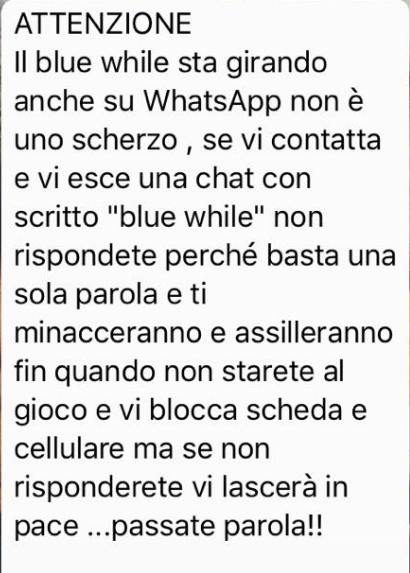 blue whale whatsapp - 1