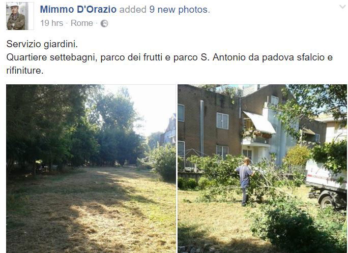 Domenico D'Orazio: la figuraccia dell'assessore M5S sul parco di Settebagni article-post