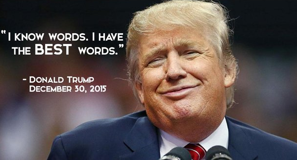 Il tweet di Trump sul covfefe article-post