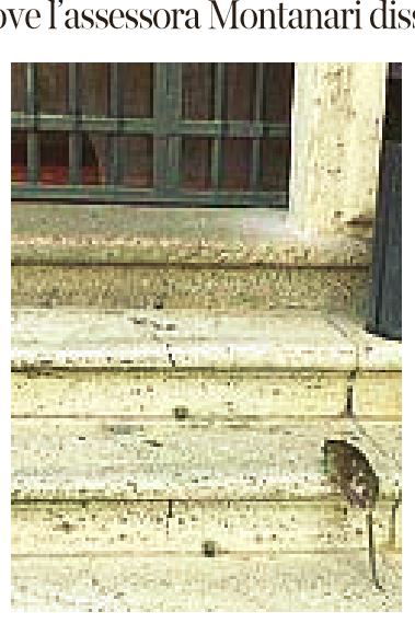 topo campidoglio 1