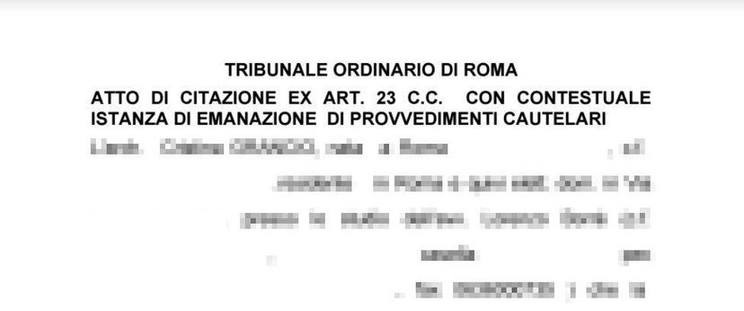 Cristina Grancio porta Beppe Grillo in tribunale article-post