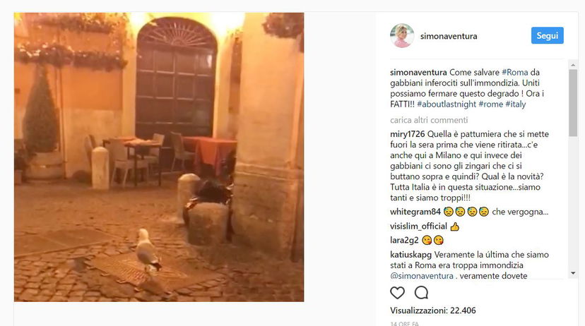 Simona Ventura ferma i gabbiani e il degrado di Roma article-post