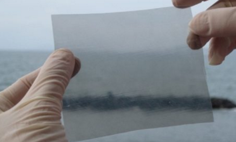 Il MoVimento 5 Stelle di Mandello del Lario contro l'omertà e il grafene article-post