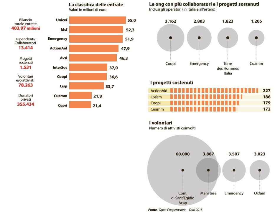 quanti soldi prendono le ONG