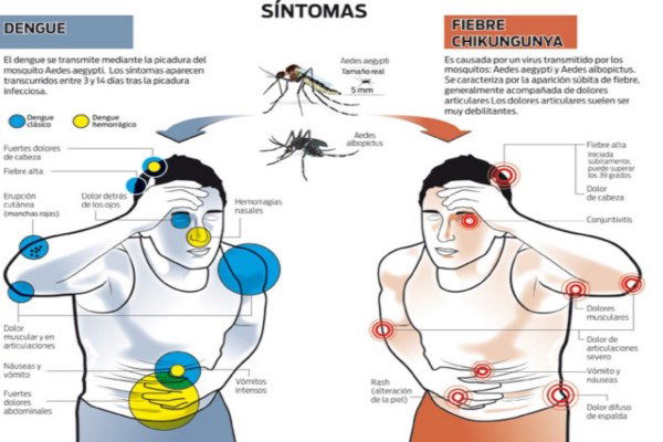 Chikungunya 2