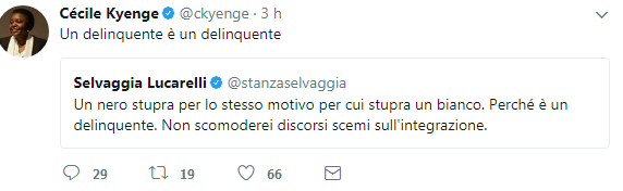 fabrizio bracconeri kyenge insulti twitter - 15