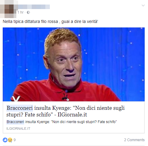 fabrizio bracconeri kyenge insulti twitter - 8